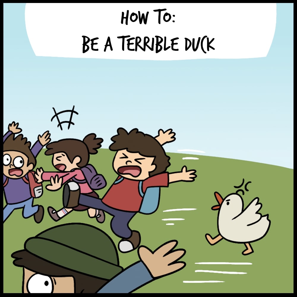 How to be a Terrible Duck